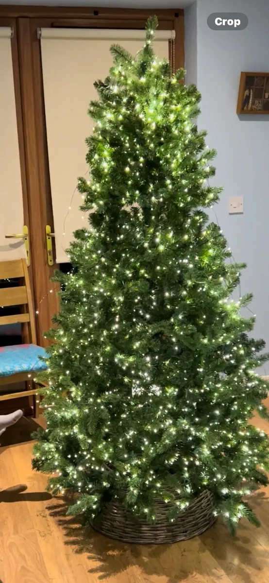 christmas tree - Image 2