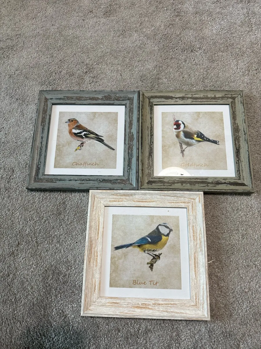 3 Framed birds prints - Image 1