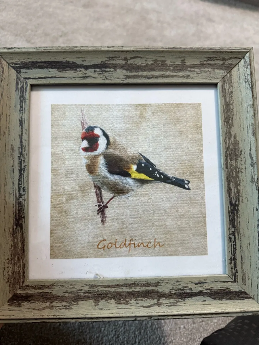 3 Framed birds prints - Image 4