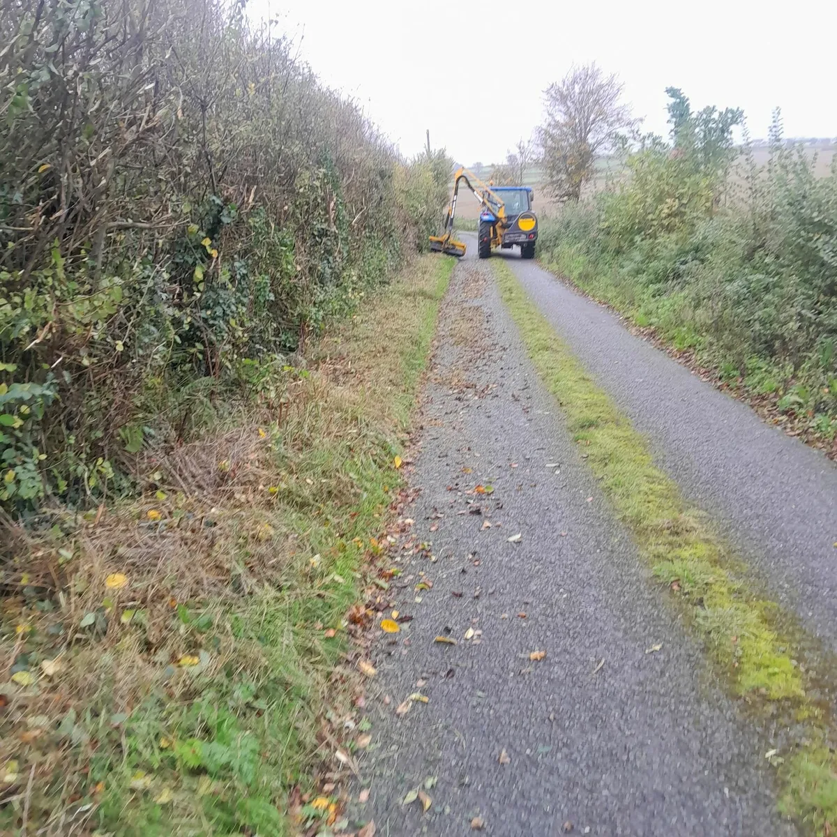 Hedgecutting Services - Image 1