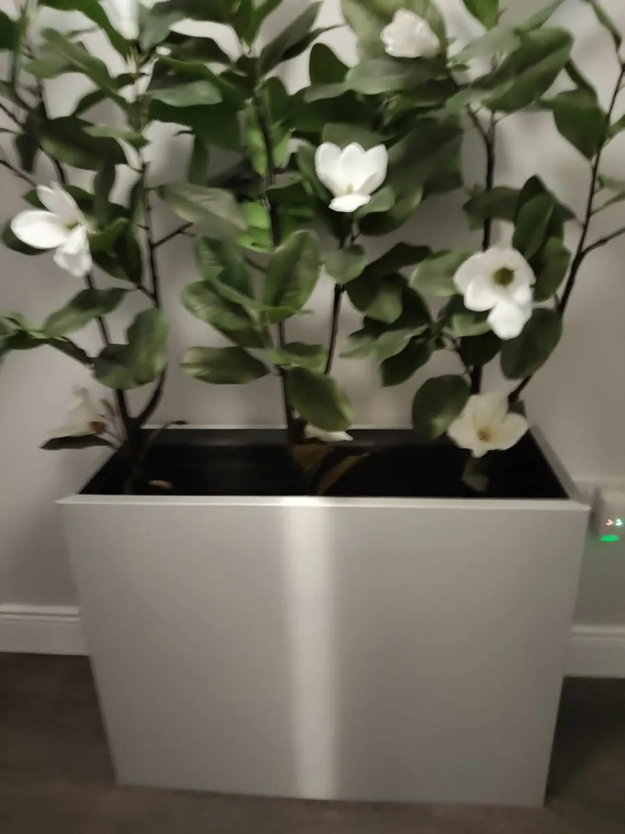 Large indoor planter - Image 1