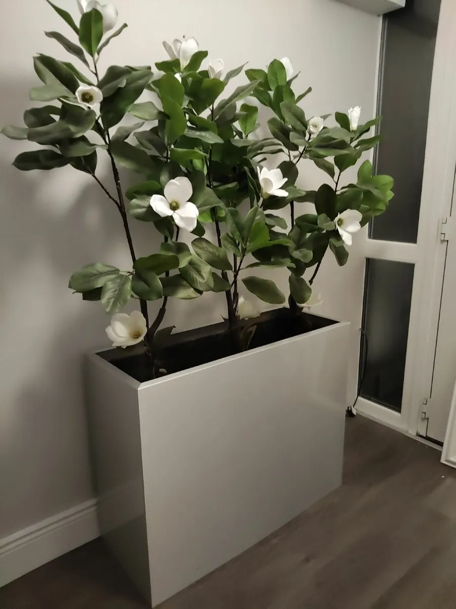 Large indoor planter - Image 2