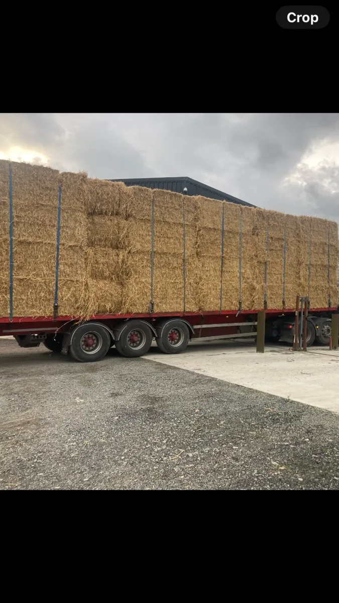 Straw square - Image 1