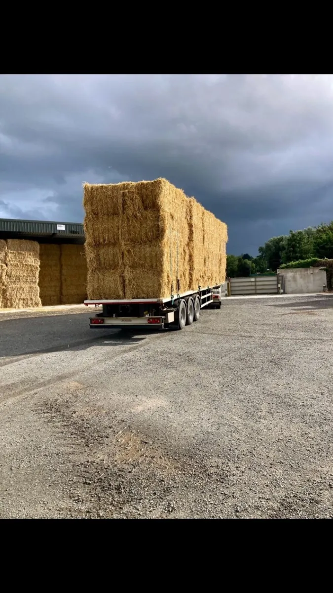 Straw square - Image 2