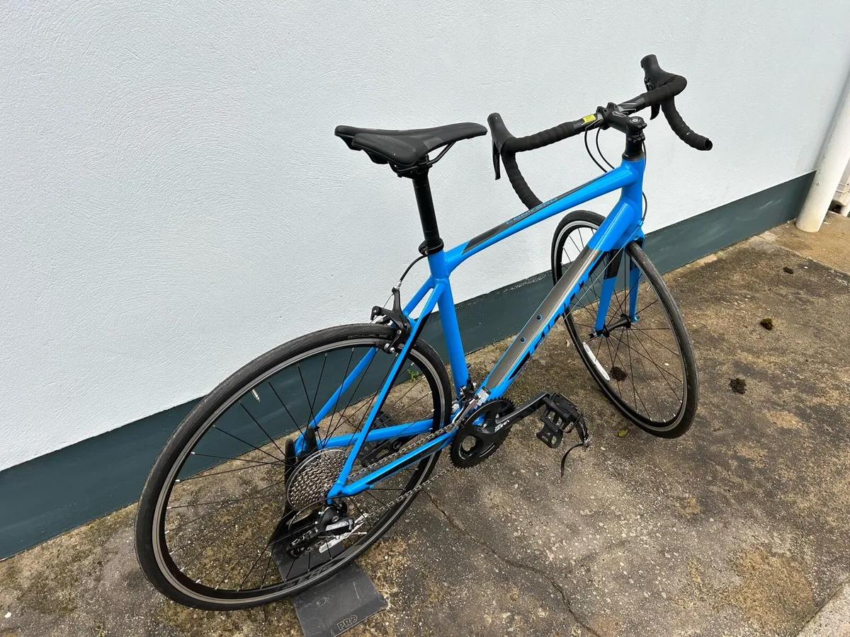 Giant contend sl1 M/L - Image 2