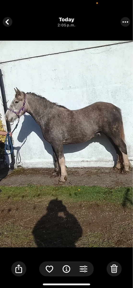 Two 3 year olds - Image 1