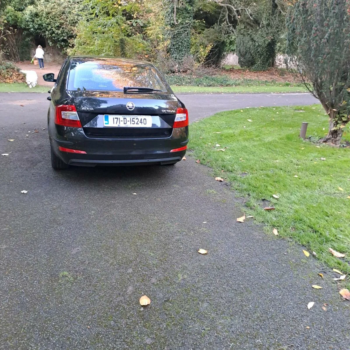 Skoda Octovia Automatic Diesel - Image 2