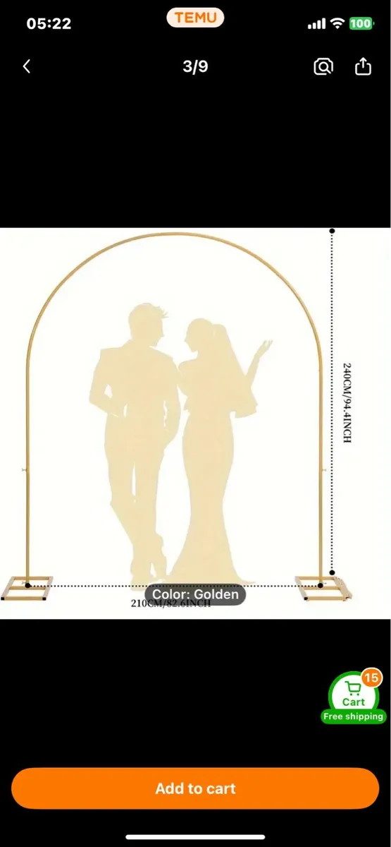 Balloon arch - Image 1