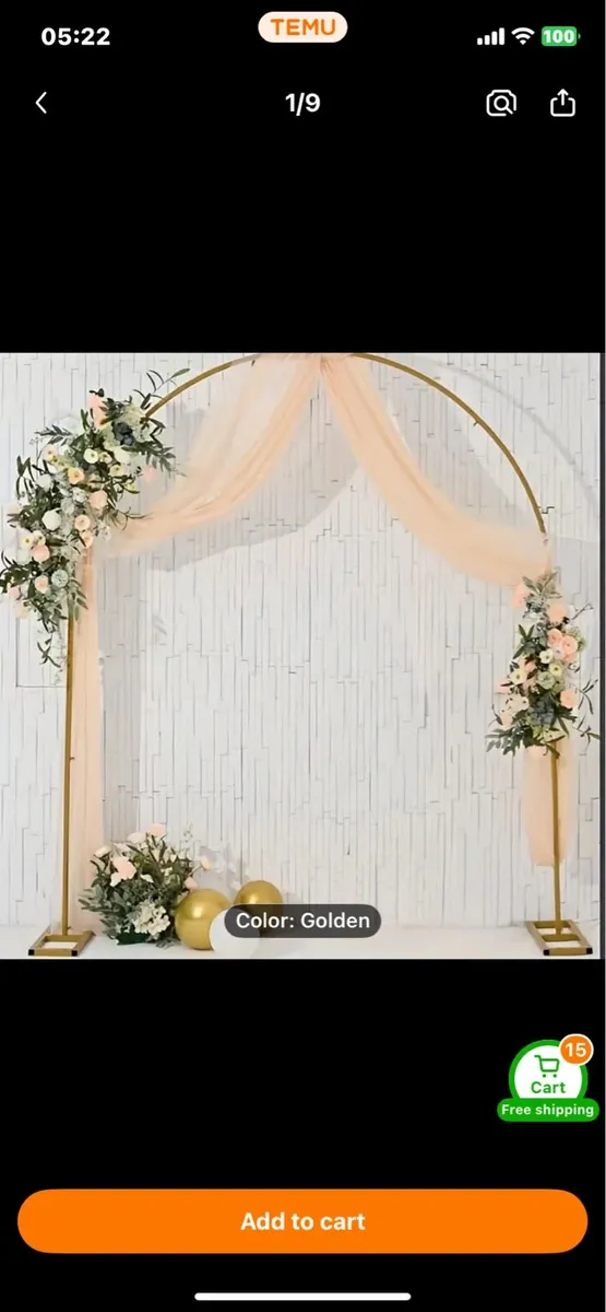 Balloon arch - Image 2