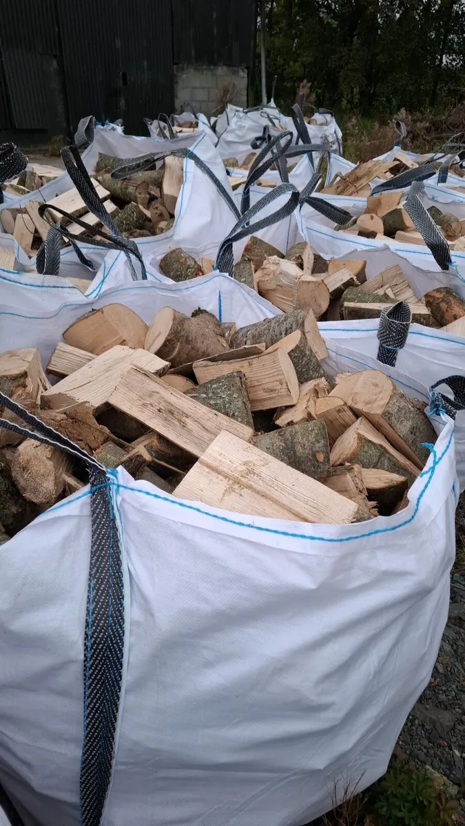 🔥🔥 ash timber 🔥 🔥 - Image 1