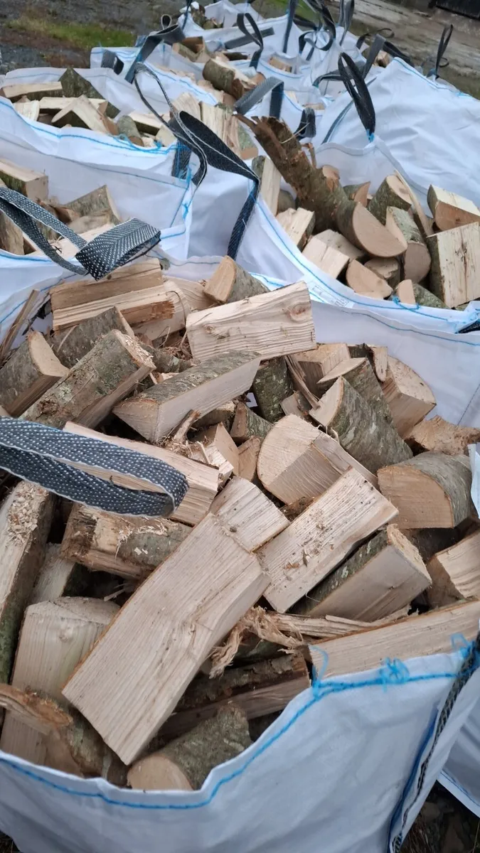 🔥🔥 ash timber 🔥 🔥 - Image 2