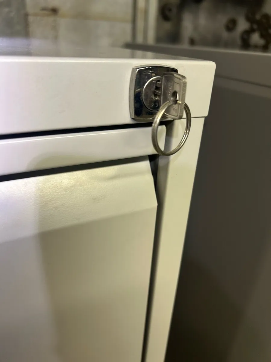 Filling cabinets - Image 2