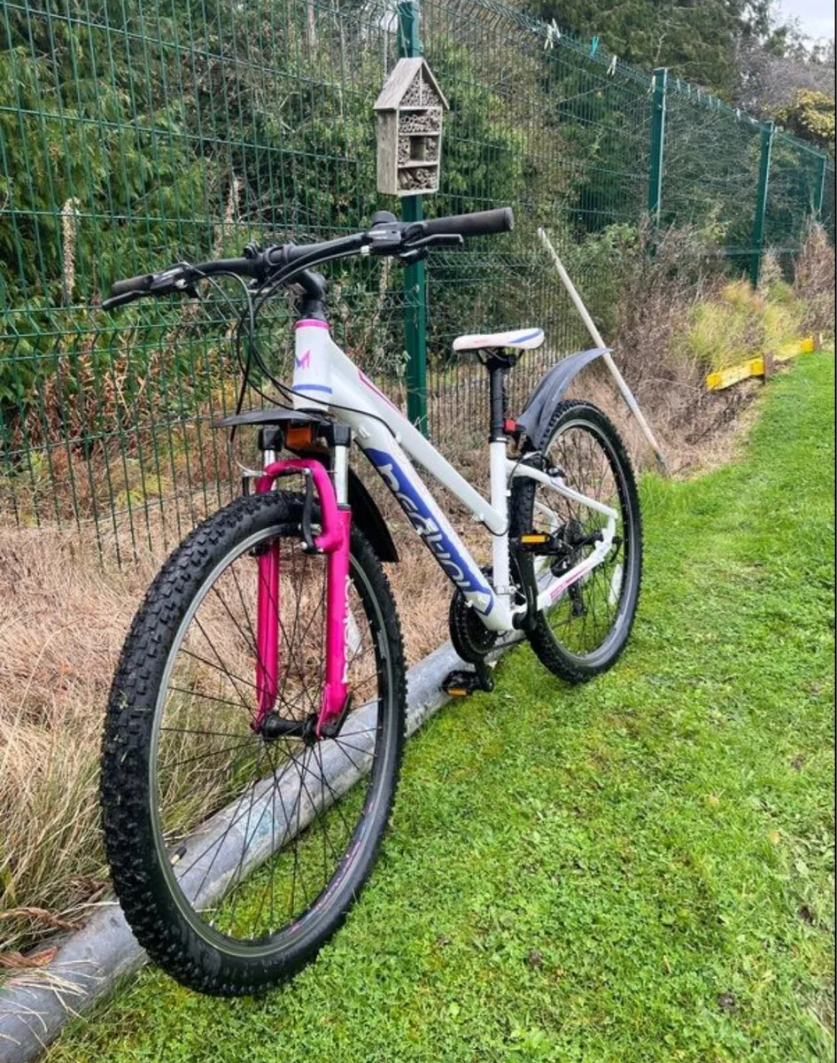 Mountain bike - Image 1