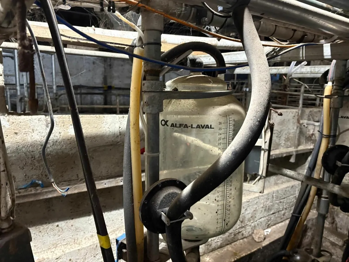 Milking parlour - Image 2