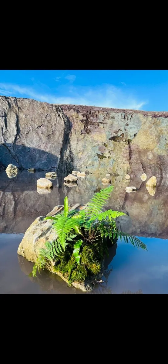 White sand - Image 2