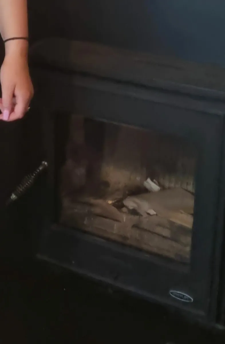 Insert stove - Image 3