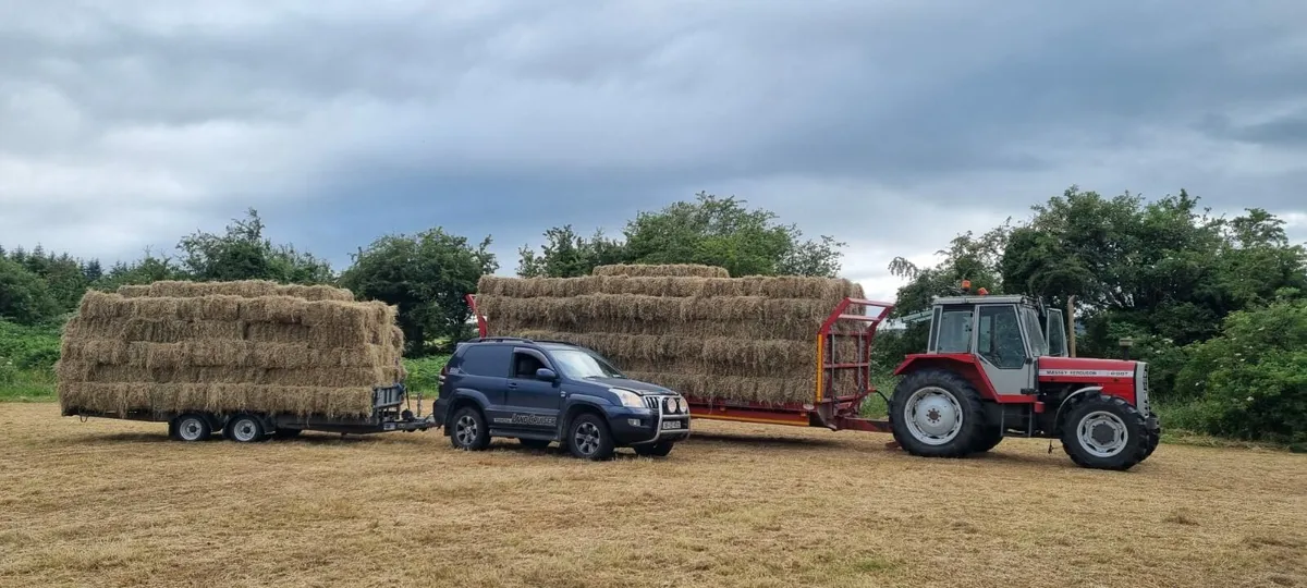 Hay for sale, small squares and rounds - Image 1