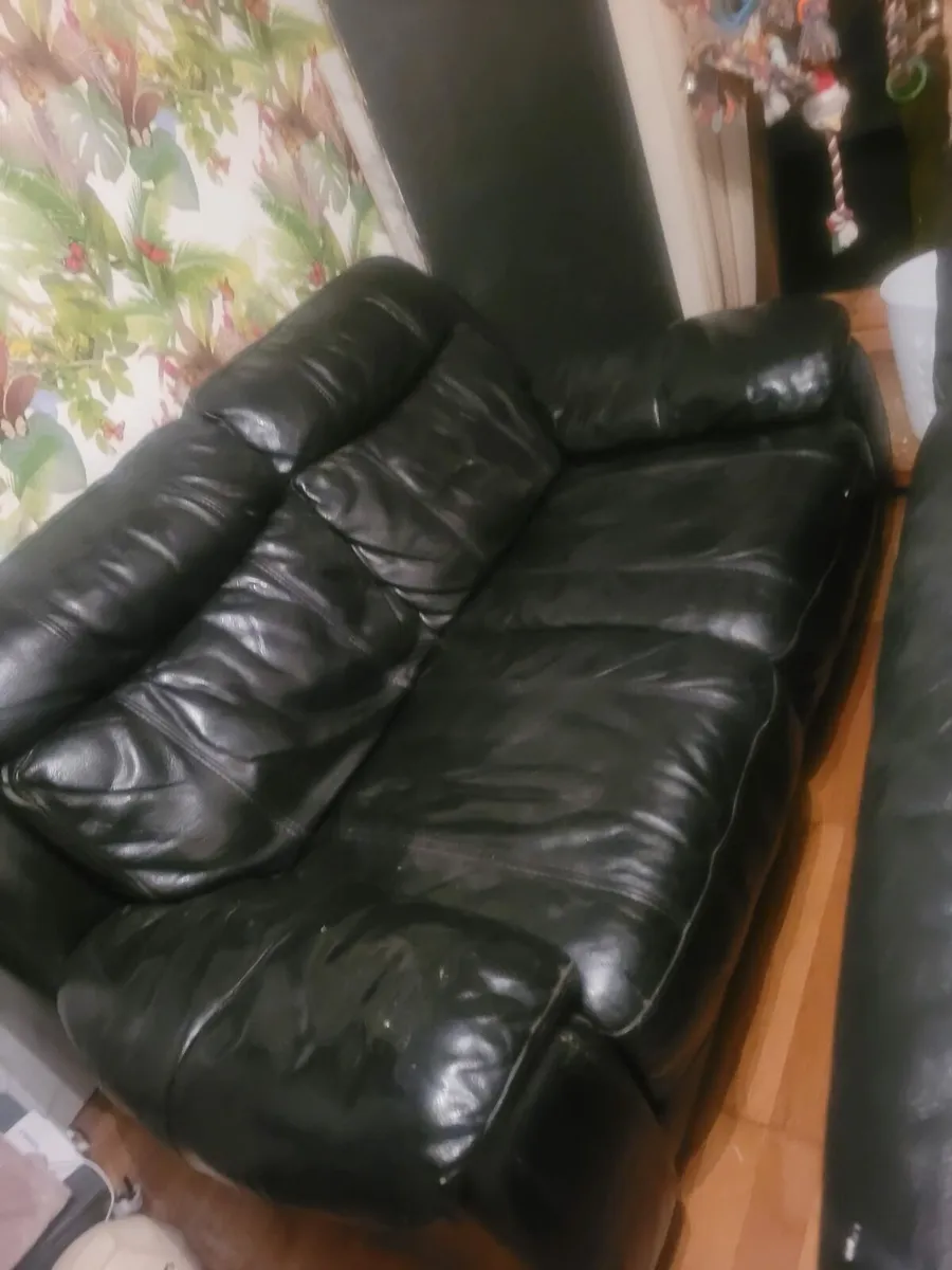 Leather sofas - Image 1