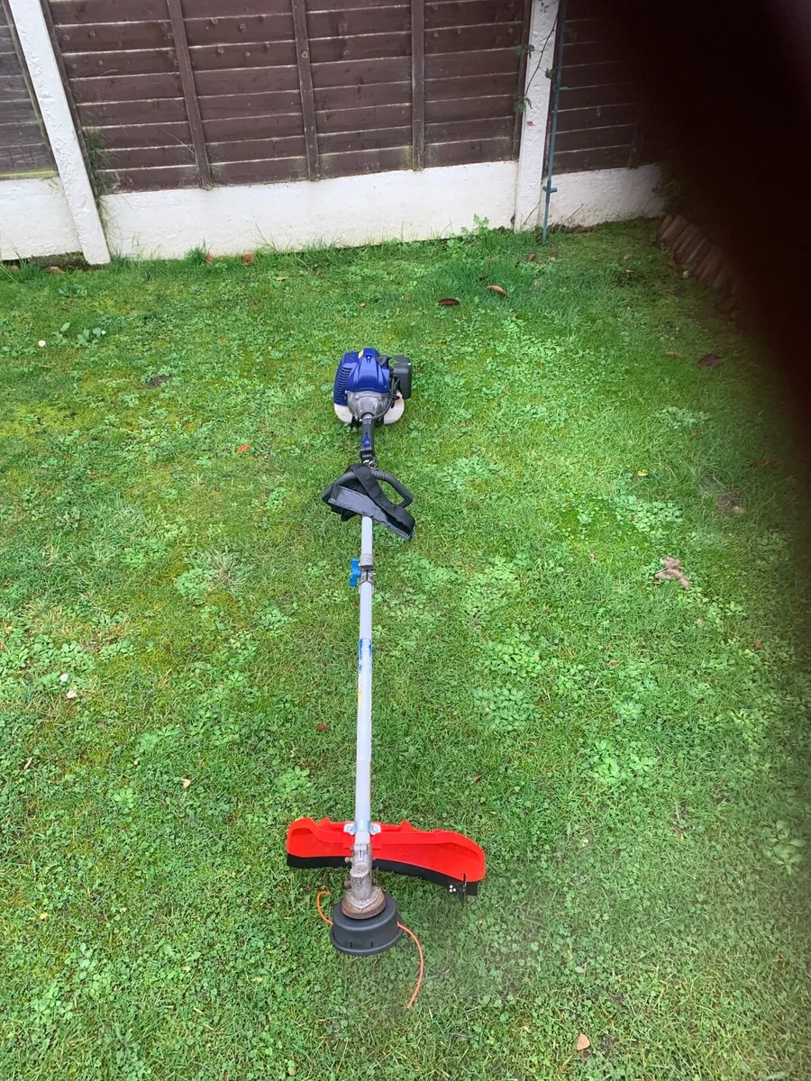 Strimmer - Image 2