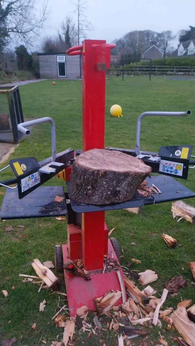 Logsplitter - Image 2