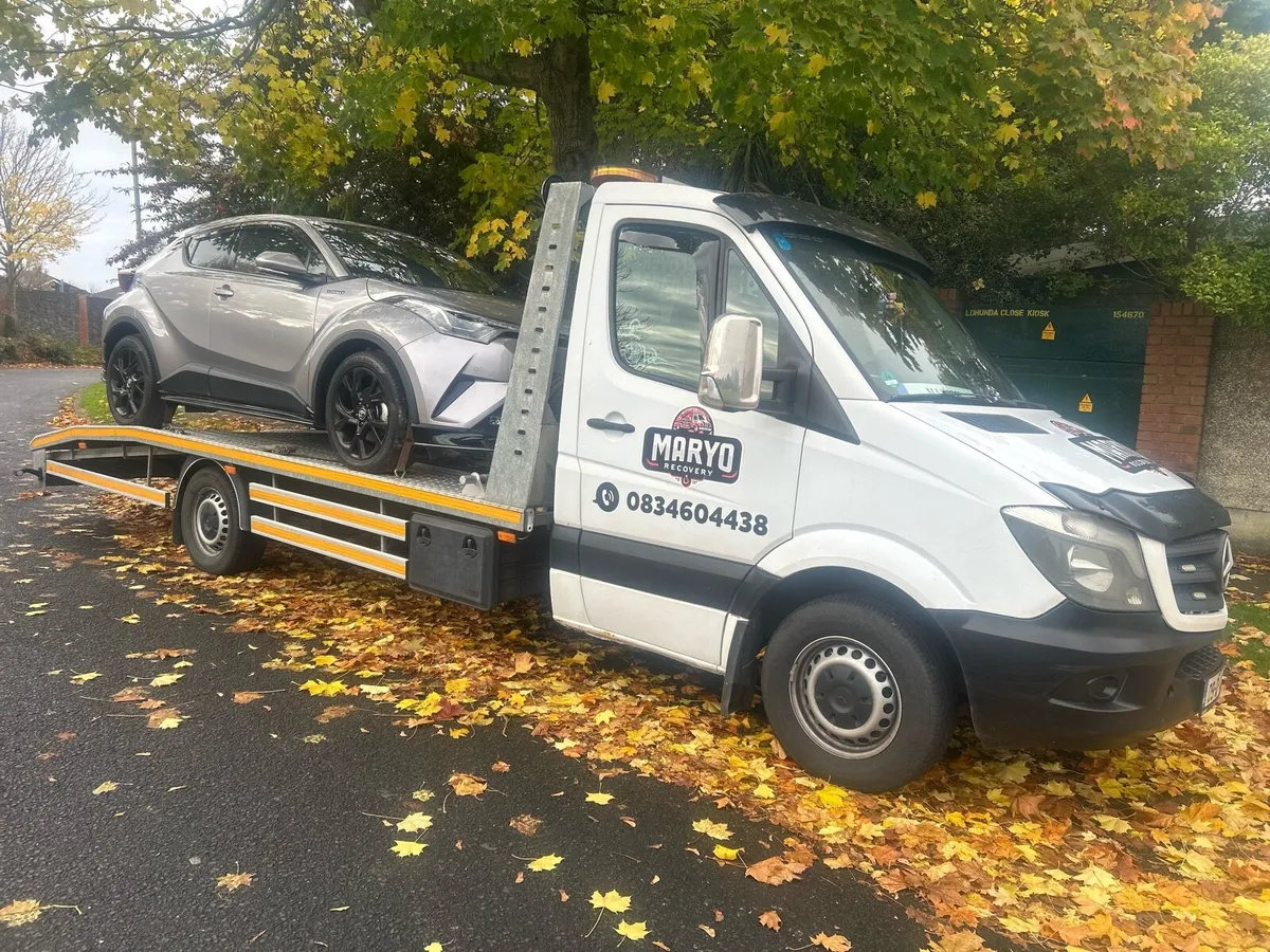 Dublin recovery - Image 2