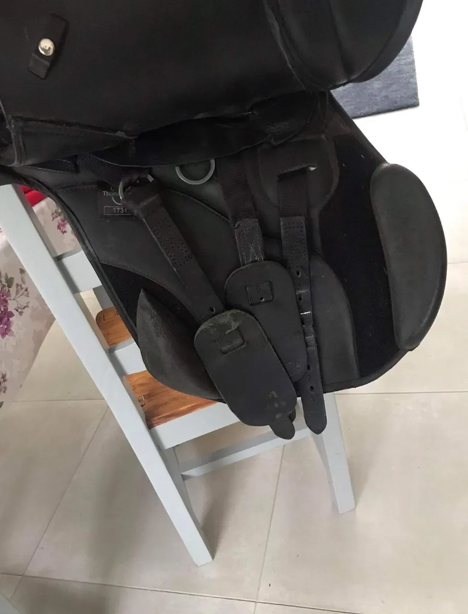 Saddle - Image 2