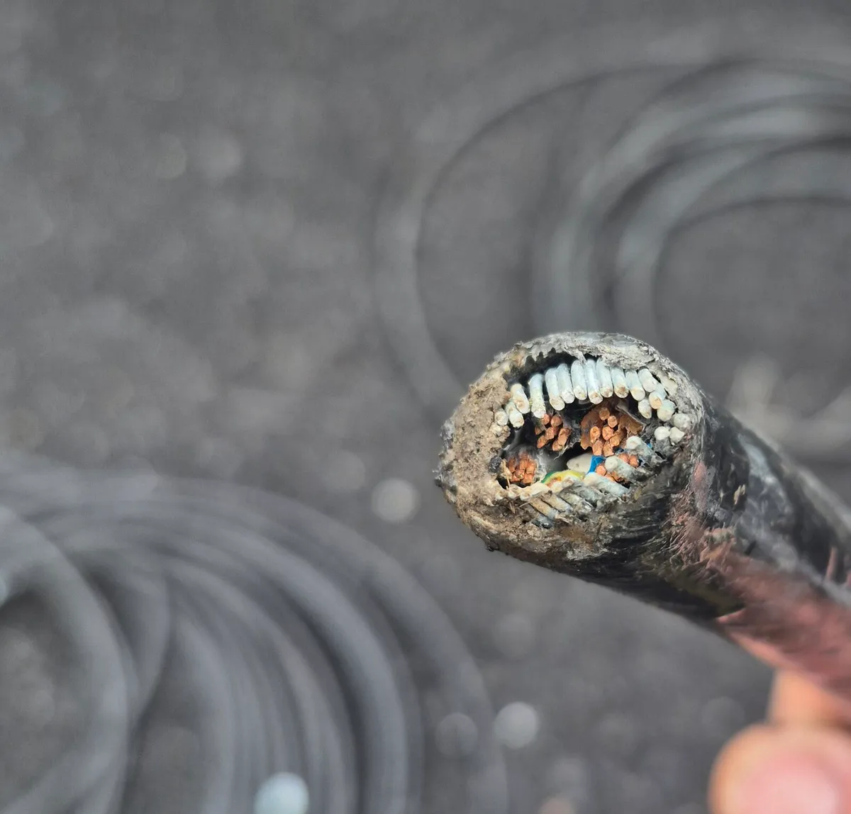 X 6 CORE HR FR LSH ROUND FLEXIBLE CABLE DUBLIN15 B - Image 2