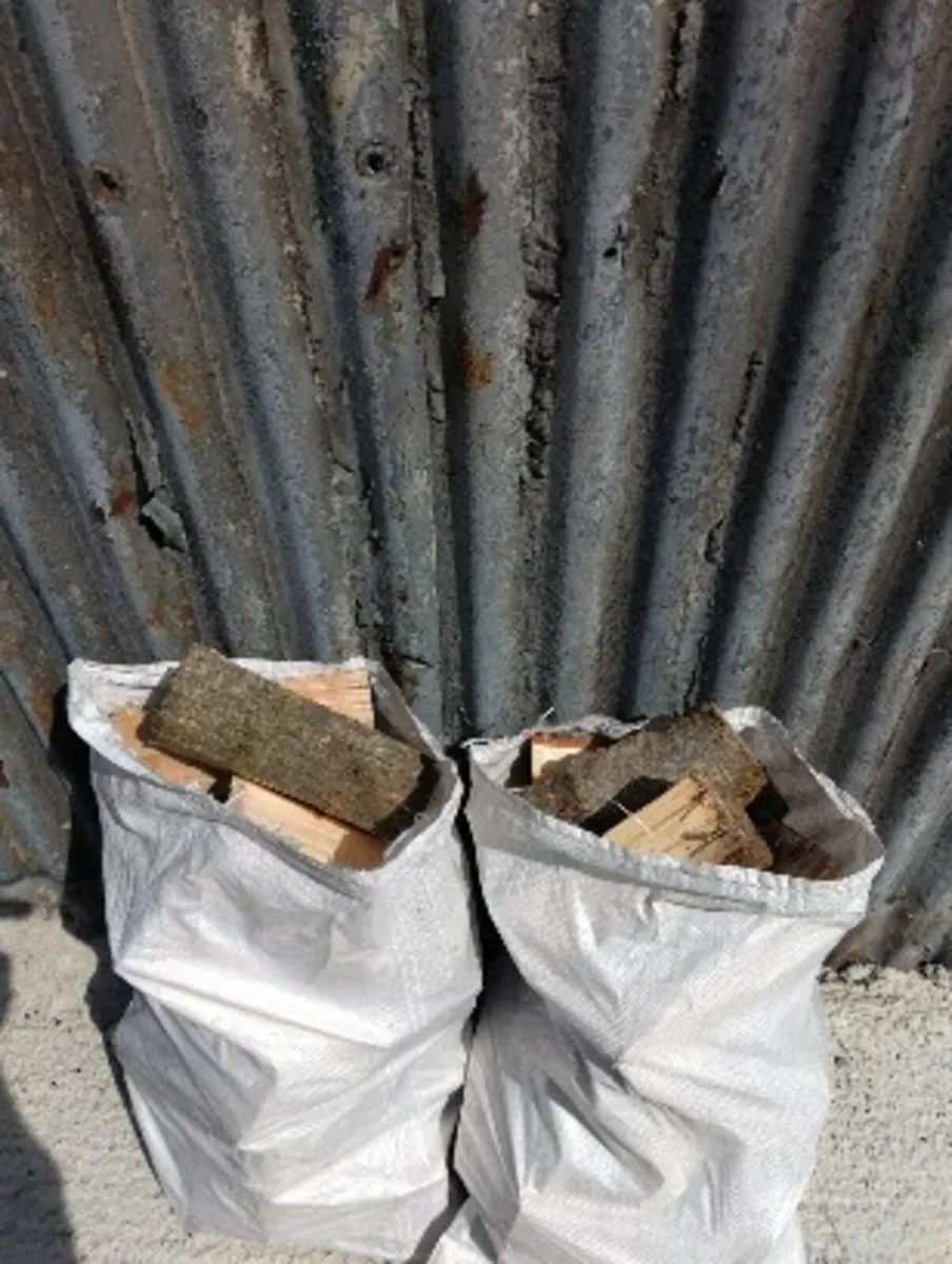 Firewood Ash - Image 4