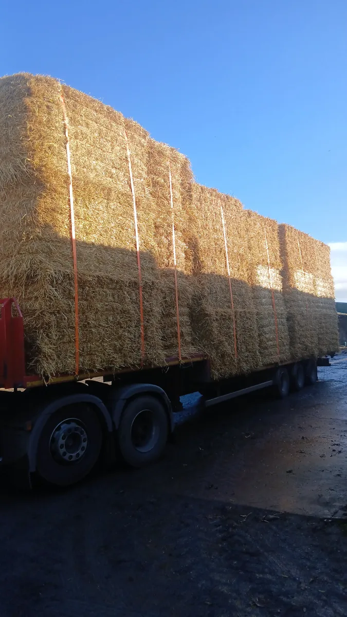 BARLEY 8X4X4 STRAW - Image 1