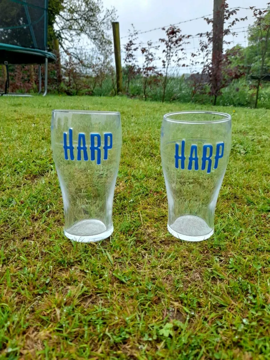 Harp Pint Glasses