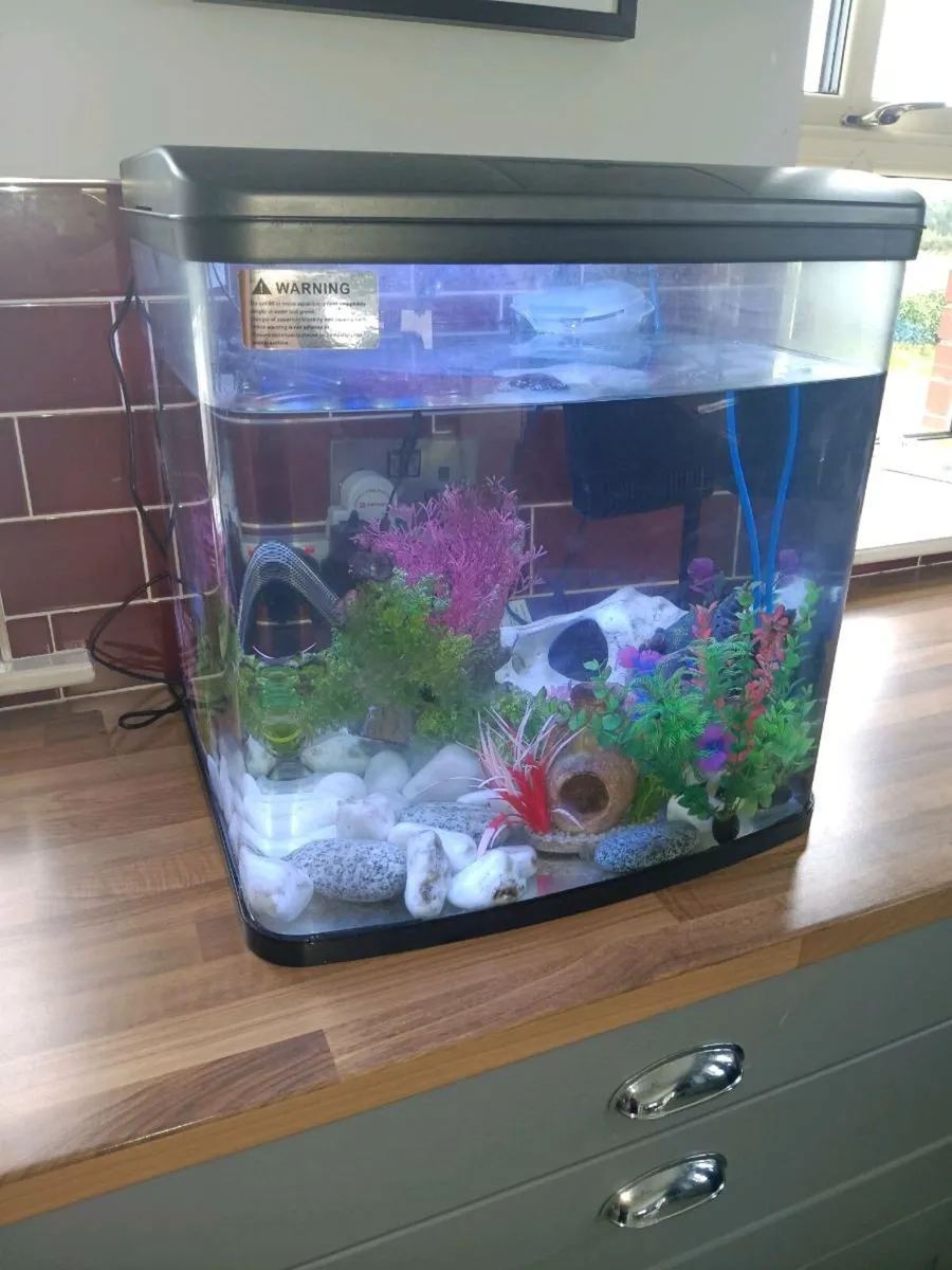 Fish tank - Image 1