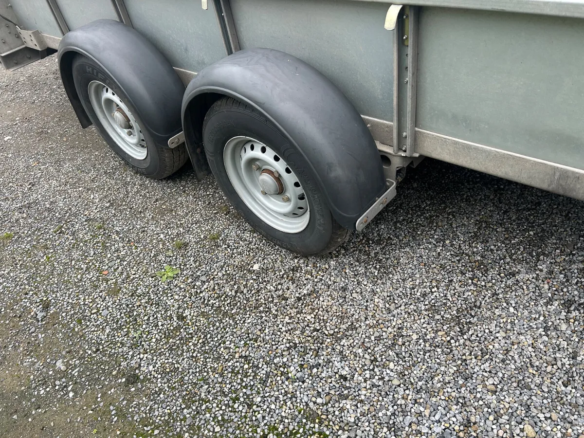 Ifor Williams 12x5 GD125 with Ramp Door - Image 4