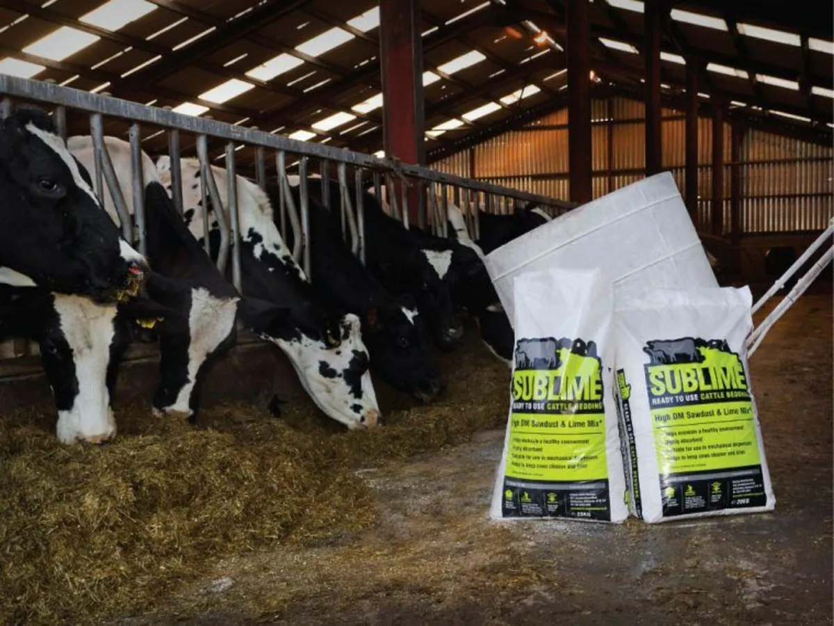 Sublime Animal Bedding for sale at FDS - Image 2