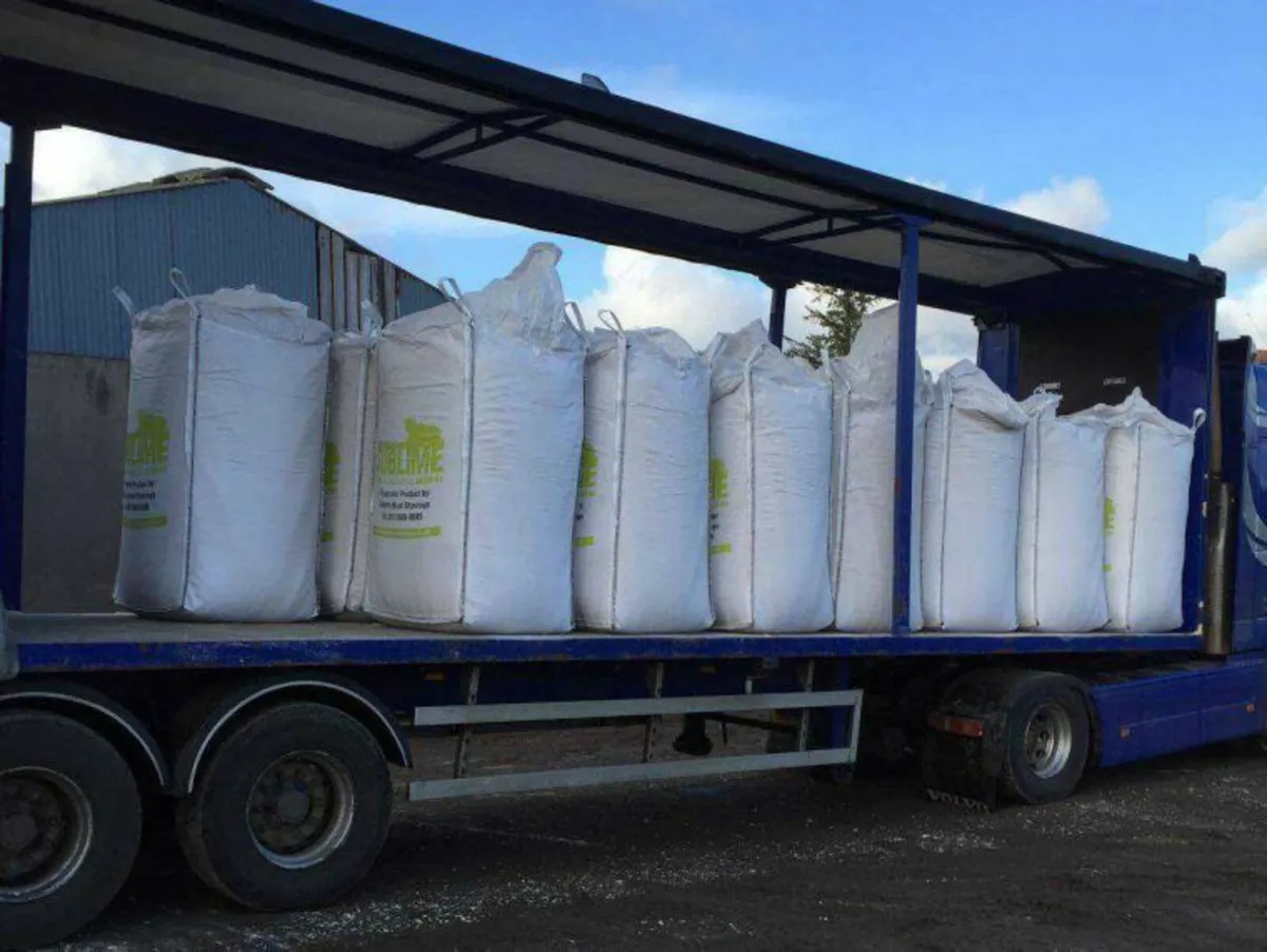 Sublime Animal Bedding for sale at FDS - Image 3