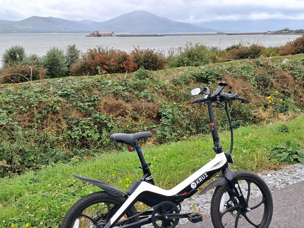 Electric bike - Image 2