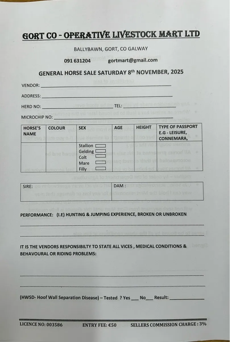 Gort Mart: Horse Sale 8th November - Image 1