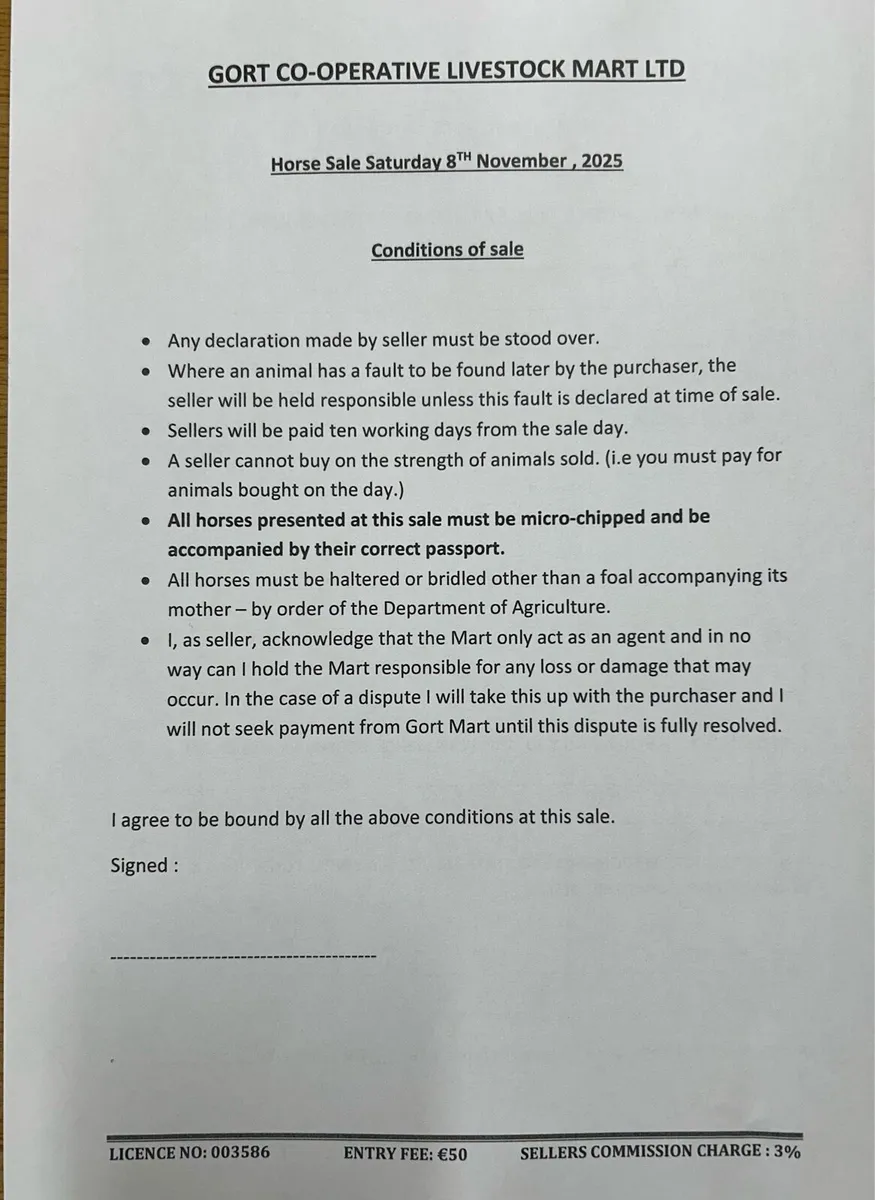 Gort Mart: Horse Sale 8th November - Image 2