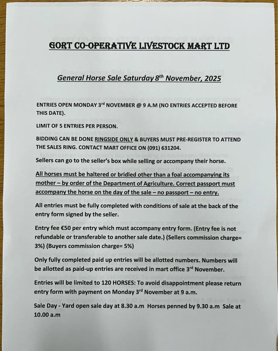 Gort Mart: Horse Sale 8th November - Image 3