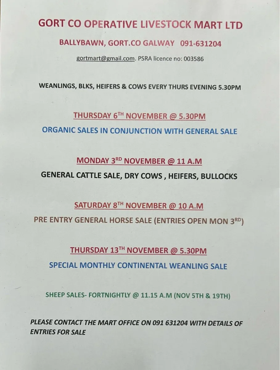 Gort Mart: Horse Sale 8th November - Image 4