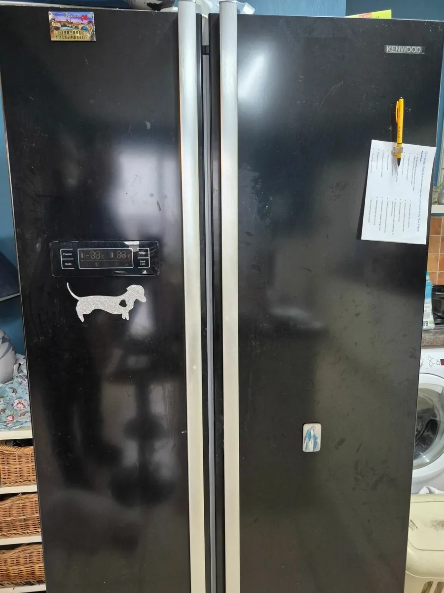 American fridge freezer