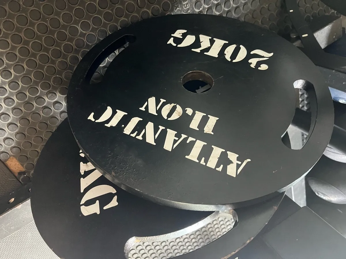 4 20kg weight plates - Image 2