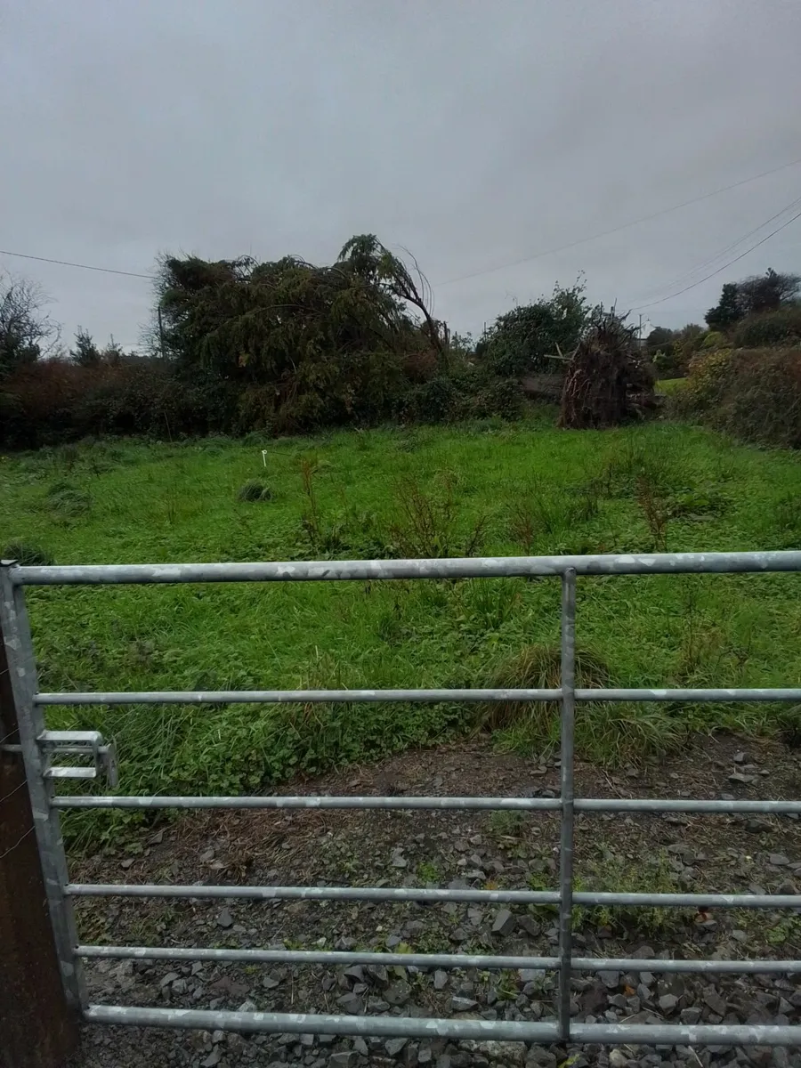 Tree surgeon - Image 2