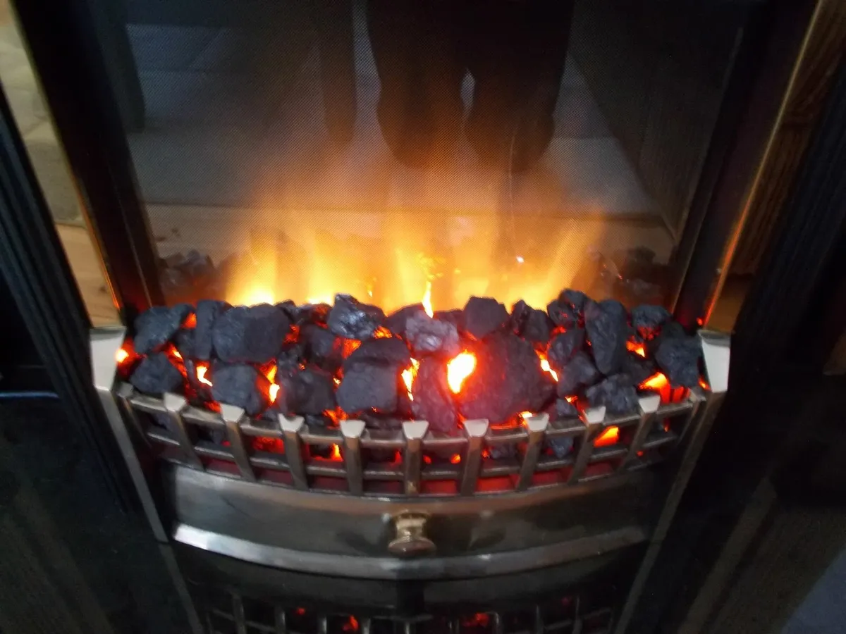 Dimplex Electric Heater Fire Effect - Image 2