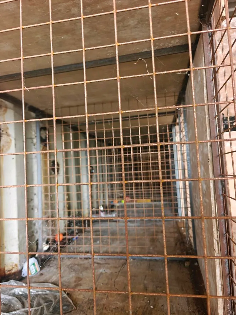 Steel cage - Image 2