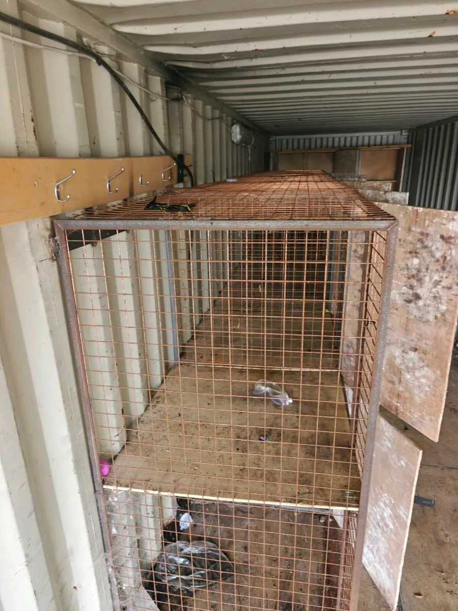 Steel cage - Image 4