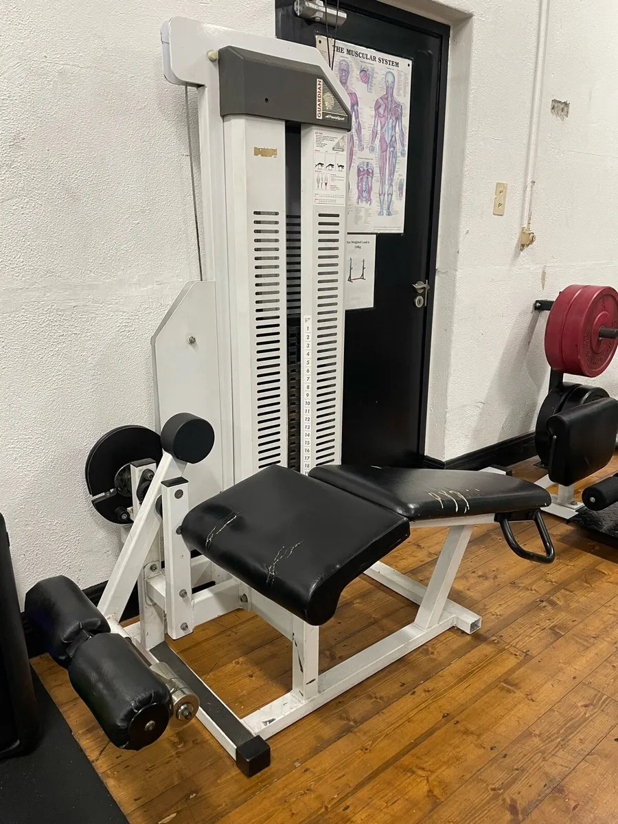 Commercial Gym Equipment - Image 3