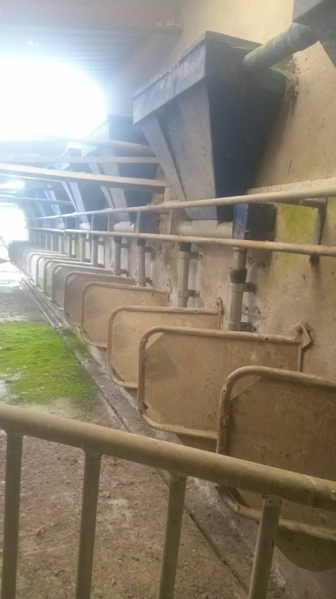 16 UNIT DAIRY MASTER MILKING PARLOUR AND FEEDERS - Image 1