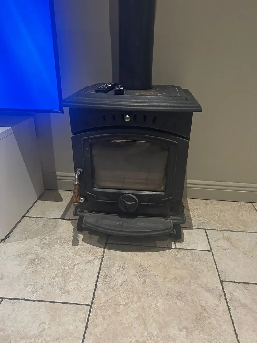 Cast iron multi fuel stove - Image 1