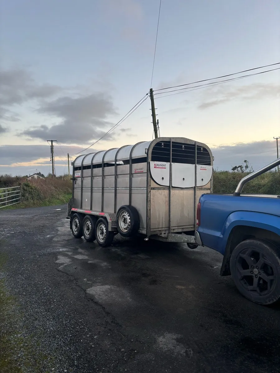 Nugent trailer - Image 1