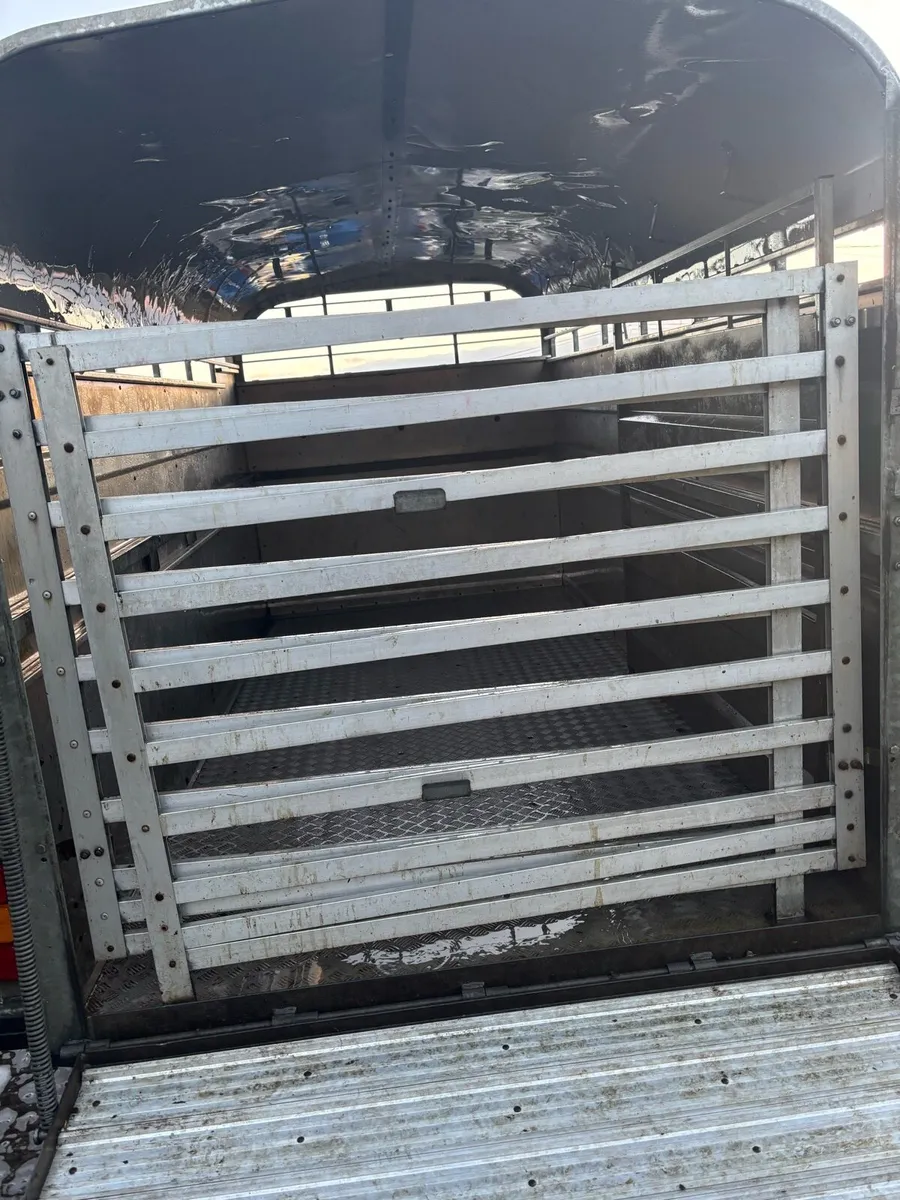 Nugent trailer - Image 4